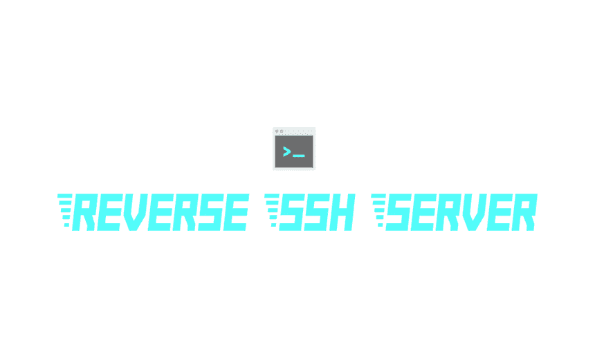 Reverse SSH Server Logo