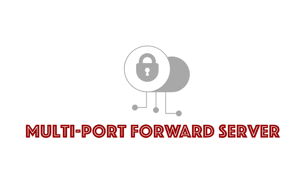 Multi-Port Forward Server